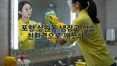 포항 상원동 냉장고 청소, 친환경으로 깨끗하게!